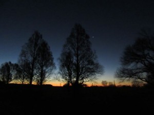 耳元で風がゴーゴーと音をたてる