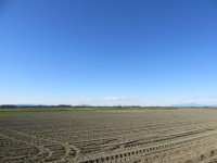 荒川峠から浅間山が見えた