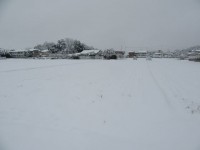 雪が降ったよ