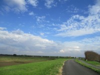 荒サイ大芦橋付近