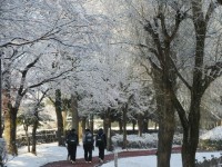 さあ走りに行こうとドアを開けたら外は雪だった