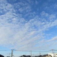 おはよう! 青空がサイクリングに誘っている。