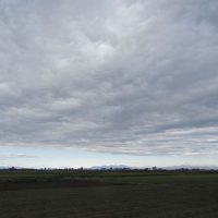 田園の空は低い