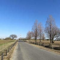 荒サイ上流は田舎道がたくさんあるので走りやすい