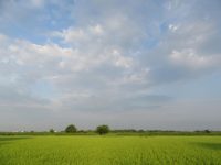 7月の自転車走行結果
