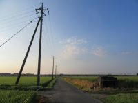 自然を身近に感じる荒川サイクリング